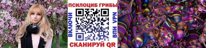 Псилоцибиновые грибы Cubensis  ОМГ ОМГ ссылки  Курчалой 