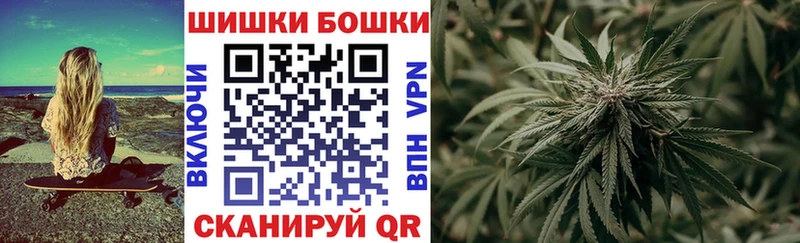 Каннабис планчик Курчалой